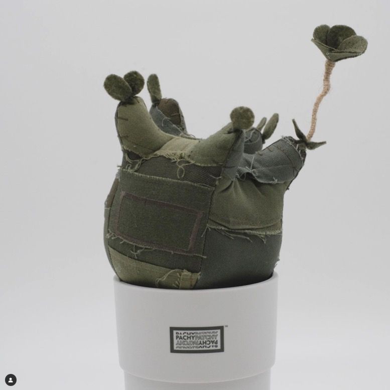全新現貨Botanize x Pachypatchy x K11 象足漆樹公仔military green 