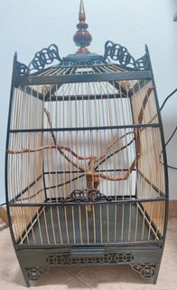 (Category: ) located in . Submitted by birdmans1 (Listing ID 1258321812, Image 1). Description: .
