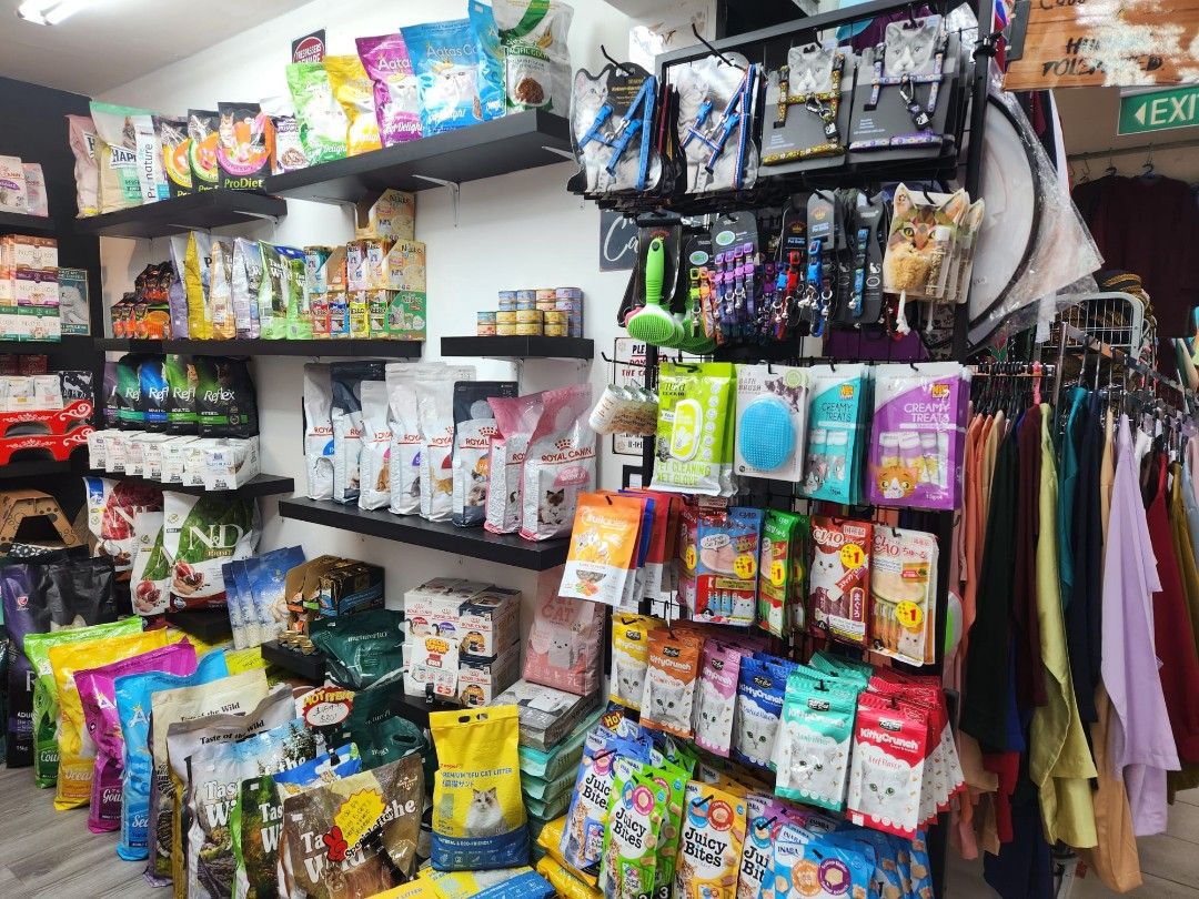 Cat accessories deals near me