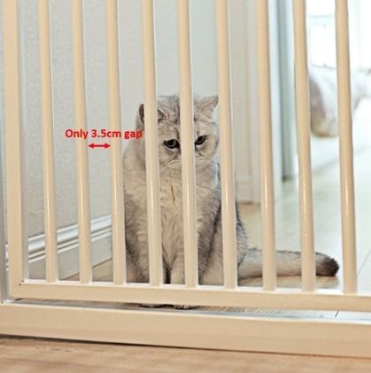 Cat deals barrier door