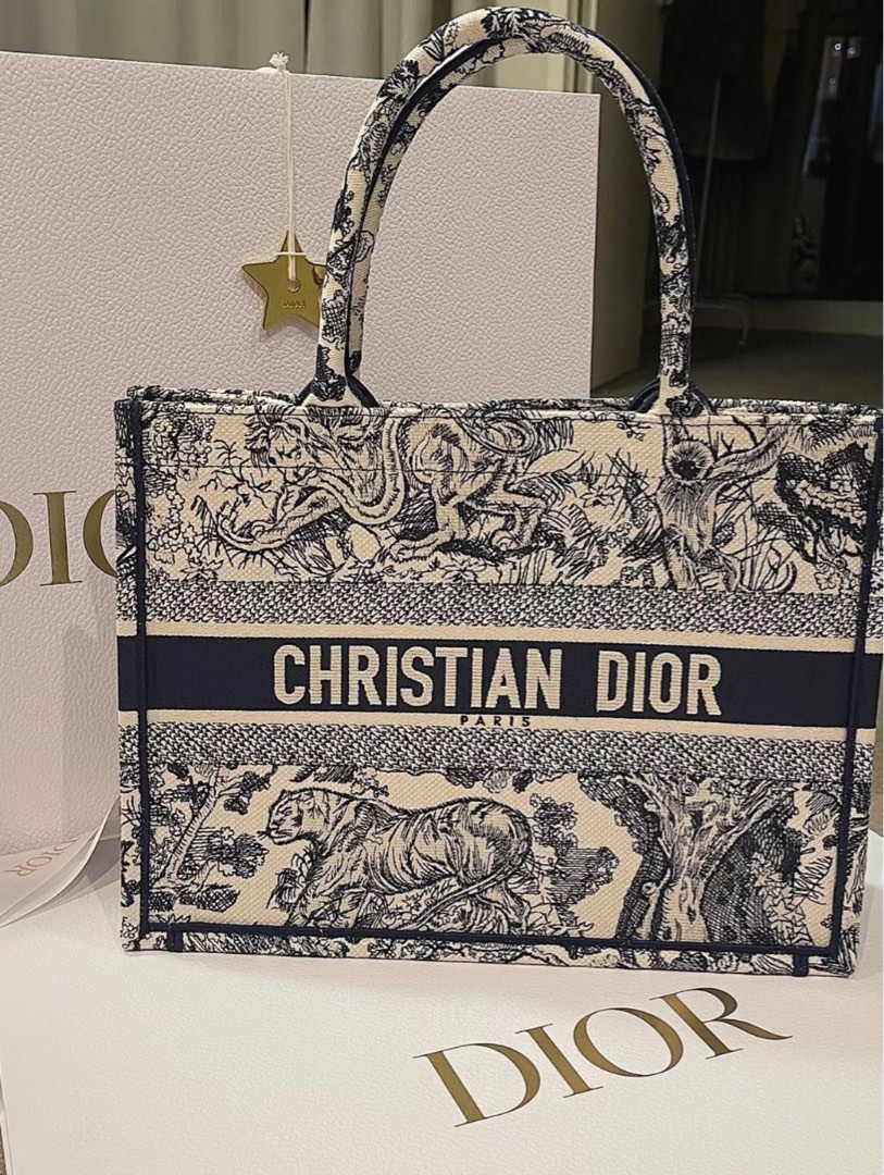 Christian Dior Book Tote Light Blue limited edition, Luxury, Bags & Wallets  on Carousell