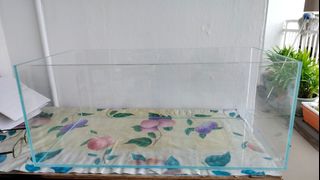 (Category: ) located in . Submitted by auggtimuss (Listing ID 1258562177, Image 1). Description: .