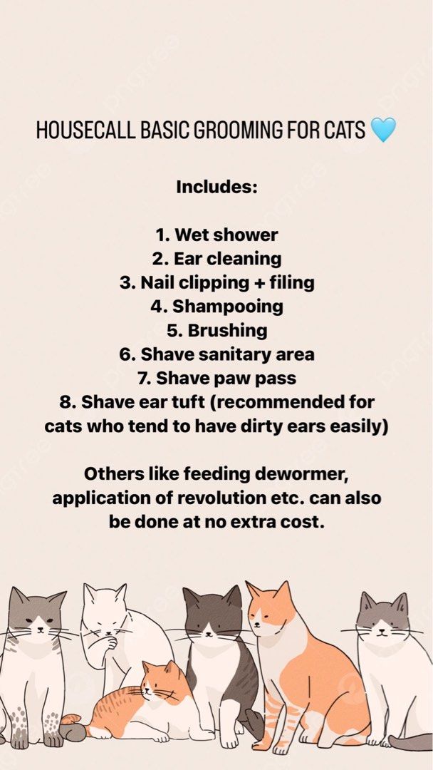 House call sale cat grooming
