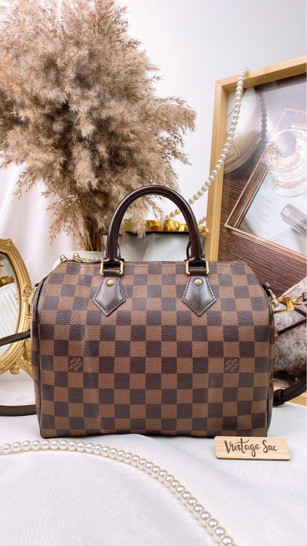 Louis Vuitton Damier Ebene Speedy 25 Bag