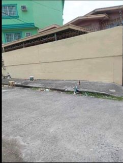 Large size lot that has a large size house WITH a 3 storey storage/bodega at the back.