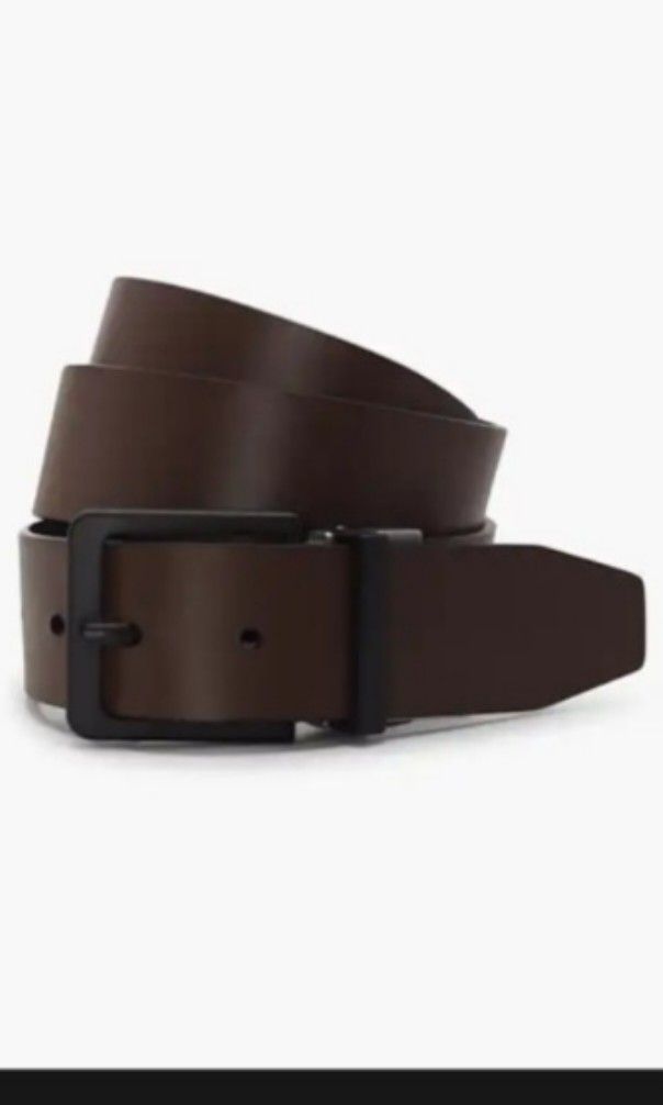 levis belt price