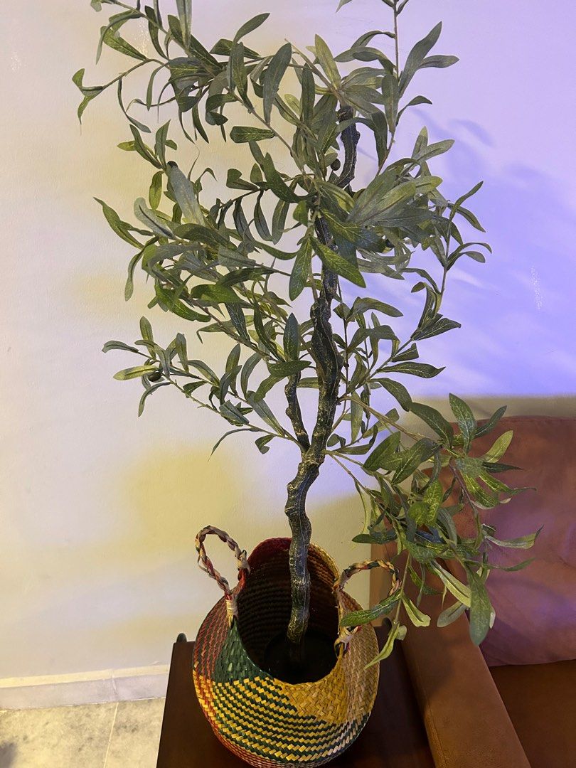 Olive tree in basket, Furniture & Home Living, Home Decor, Artificial
