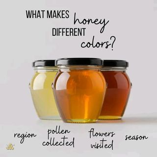 organic pure  forest honey