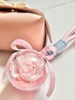 Preserved Pink Rose (can be Keychain)