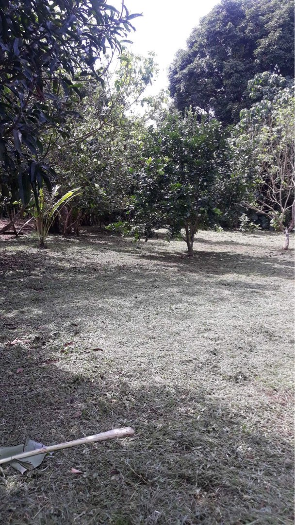 RUSH SALE!! FARM LOT MAGDALENA LAGUNA 762 SQM, Property, For Sale, Lot