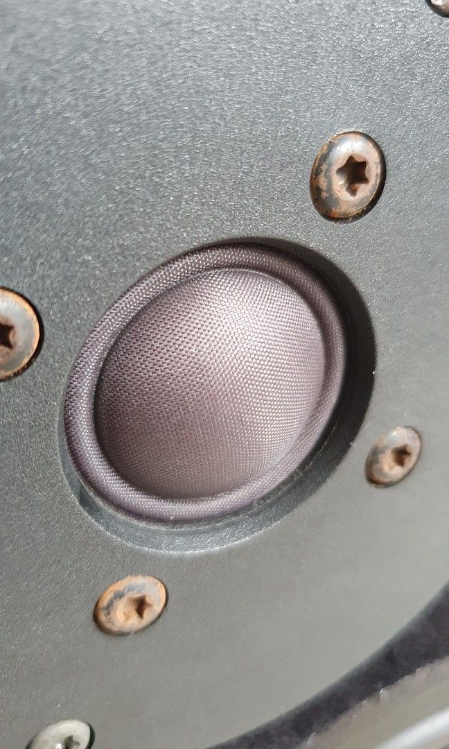 Speaker466798176225218561