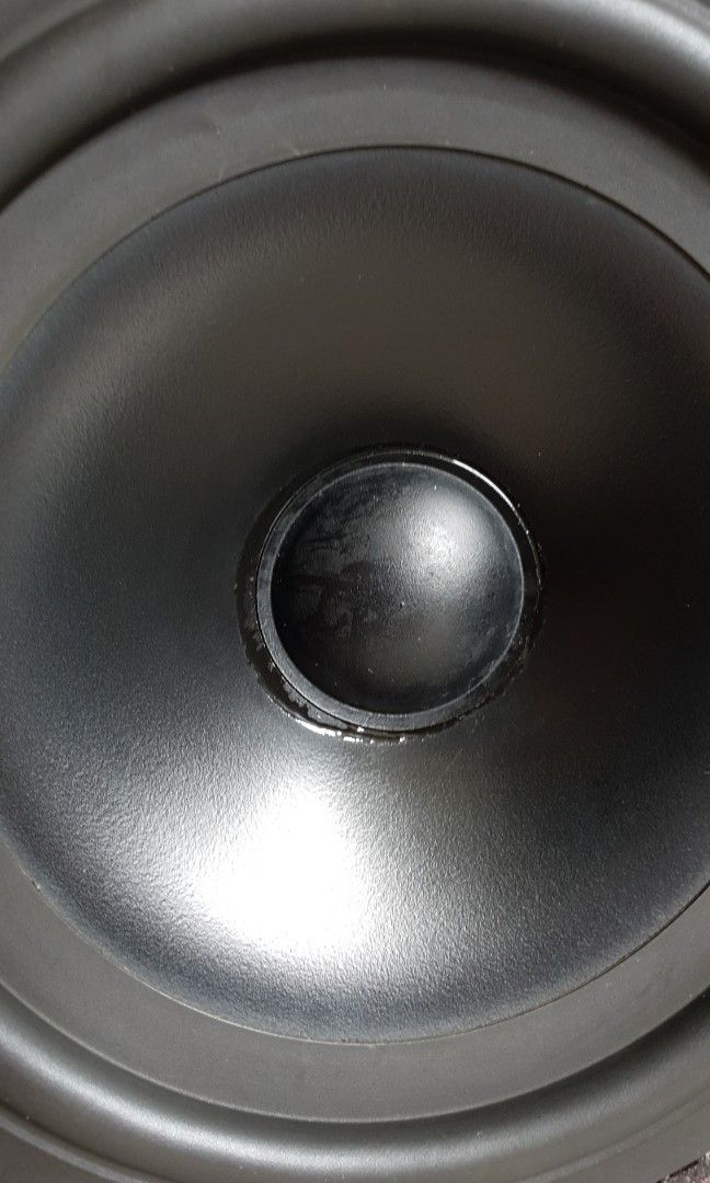 Speaker466798176225218562