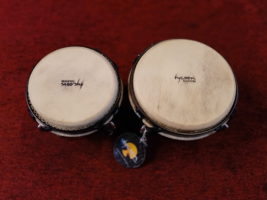 Tycoon Bongo, Hobbies & Toys, Music & Media, Musical Instruments on