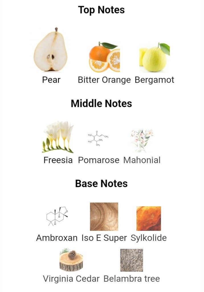 versace dylan purple note