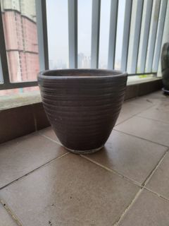 (Category: ) located in . Submitted by hanna.garden (Listing ID 1258757318, Image 1). Description: .