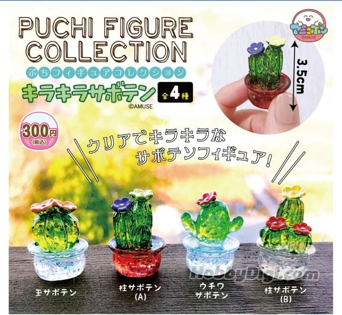 Amuse capsule toy gashapon puchi transparent cactus, Hobbies & Toys ...