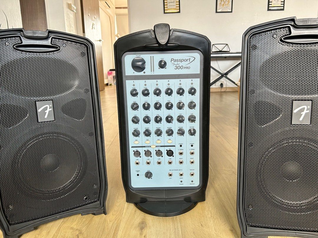 Fender passport clearance 300 pro