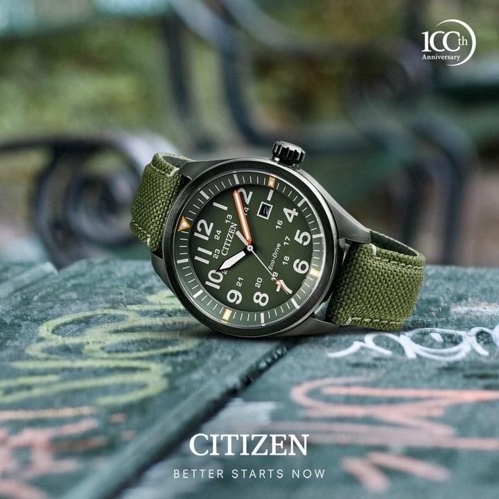 Citizen army watch top