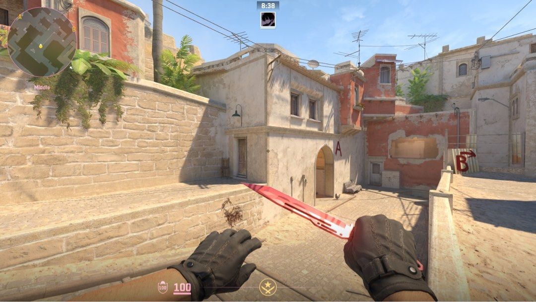 CSGO CS2 Paracord Knife Slaughter (Factory New), Video Gaming, Gaming