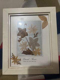 Dried Flower in a Frame