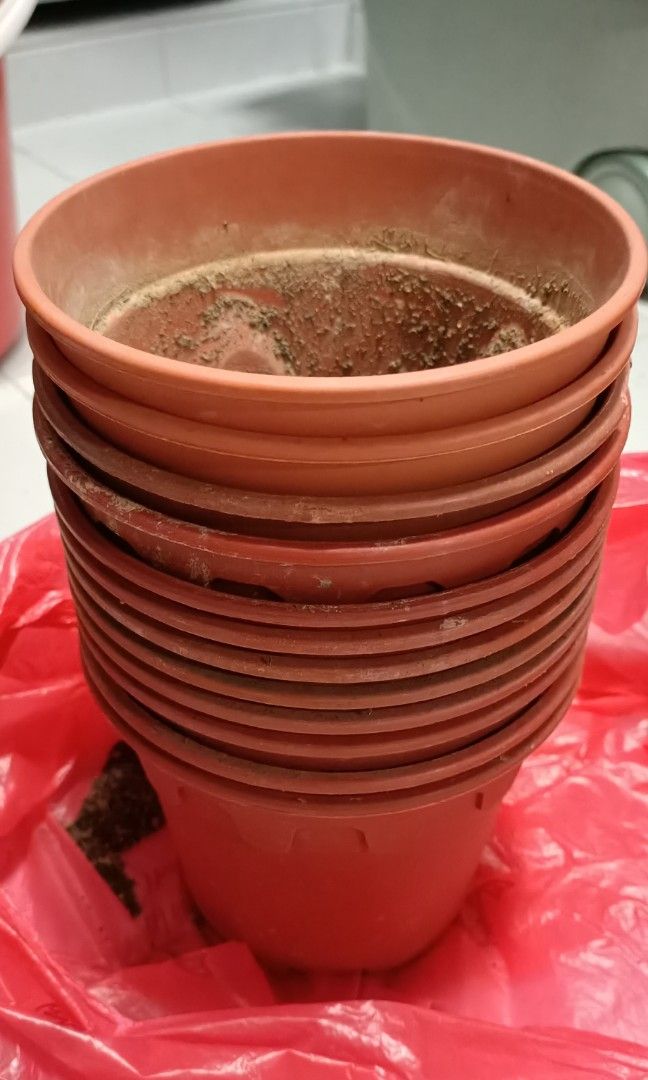 Free plant pots (15cm), Furniture & Home Living, Gardening, Pots