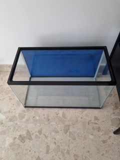 (Category: ) located in . Submitted by varun61 (Listing ID 1258723706, Image 1). Description: .