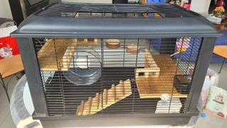 (Category: ) located in . Submitted by i020757 (Listing ID 1258784419, Image 1). Description: .