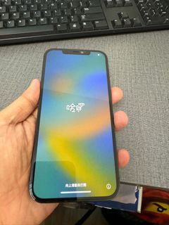 （分類：）位於 。 由 Adan1227 提交（商品編號 1258856971，圖片 1）。簡介： 。