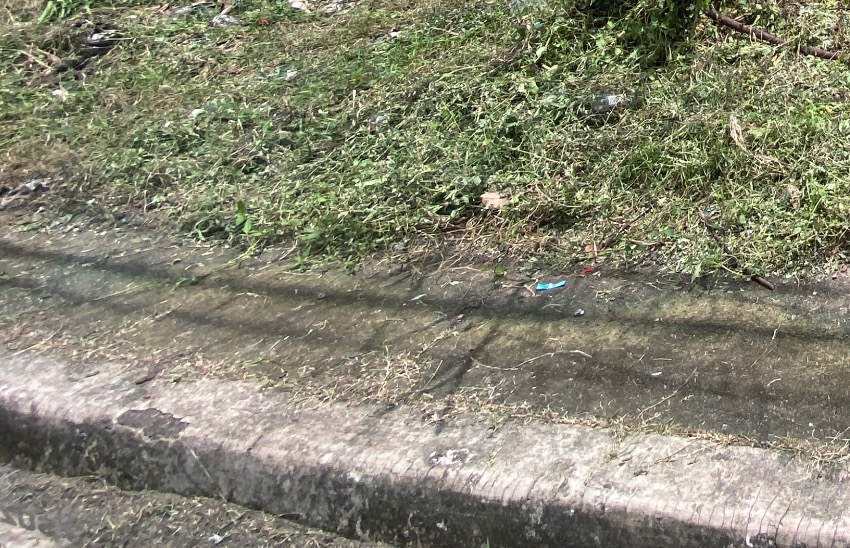 Lot For Sale in Golden Meadows, Marcos Highway, Lower Antipolo, Rizal