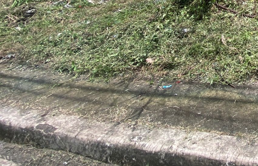 Lot For Sale in Golden Meadows, Marcos Highway, Lower Antipolo, Rizal