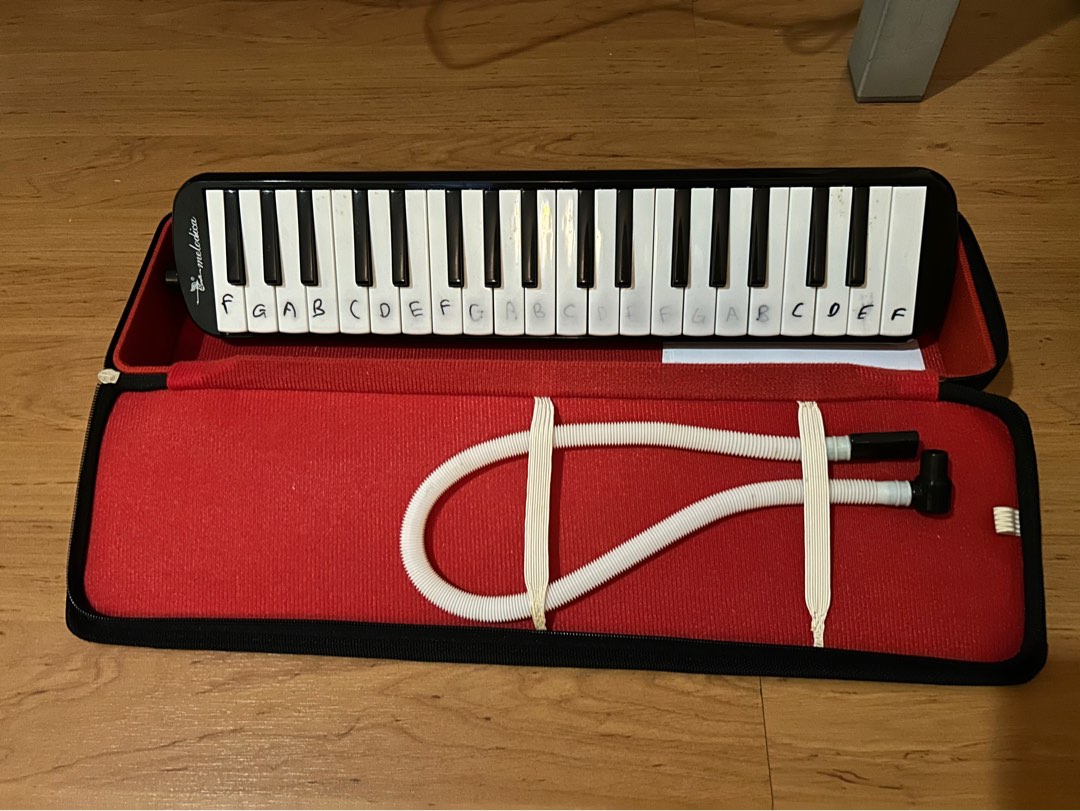 Swan melodica deals