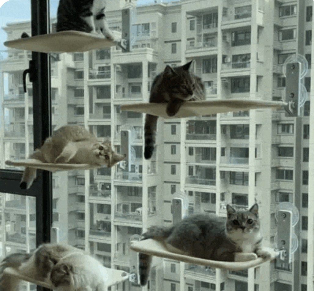 Nymock Fodable Cat Hammock x 4, Pet Supplies, Homes & Other Pet