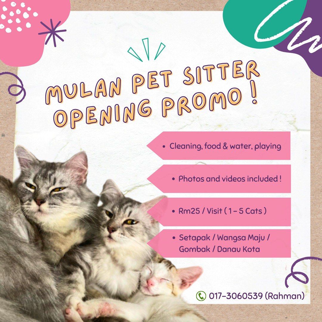 Cat grooming wangsa maju top