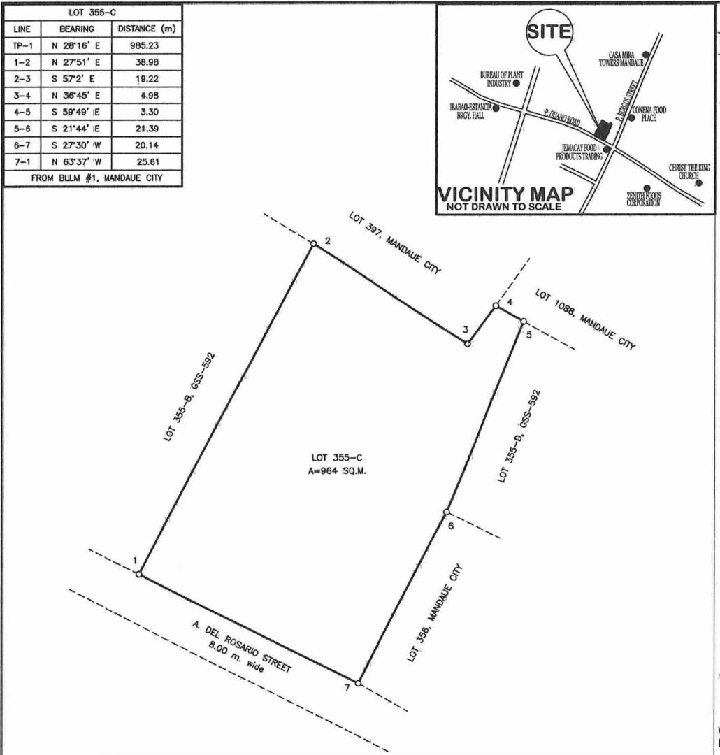 Prime Commercial Lot for Sale in Mandaue, Cebu City, Philippines