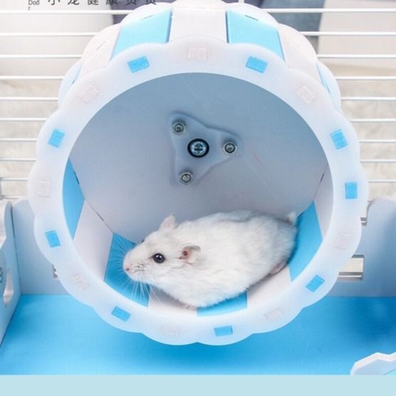 Hamster wheel with stand on sale