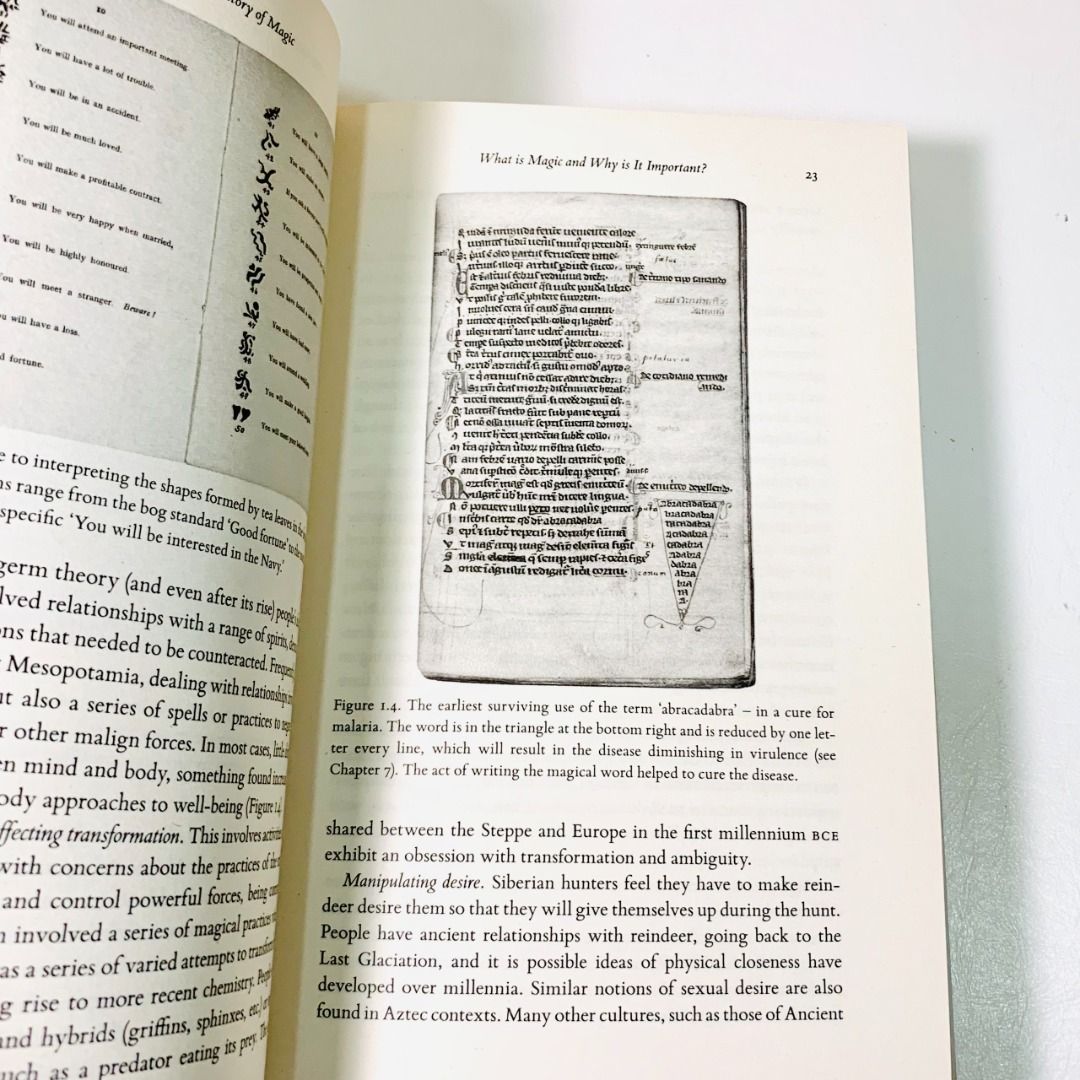The History Of Magic : From Alchemy To Witchcraft, From The Ice Age To ...