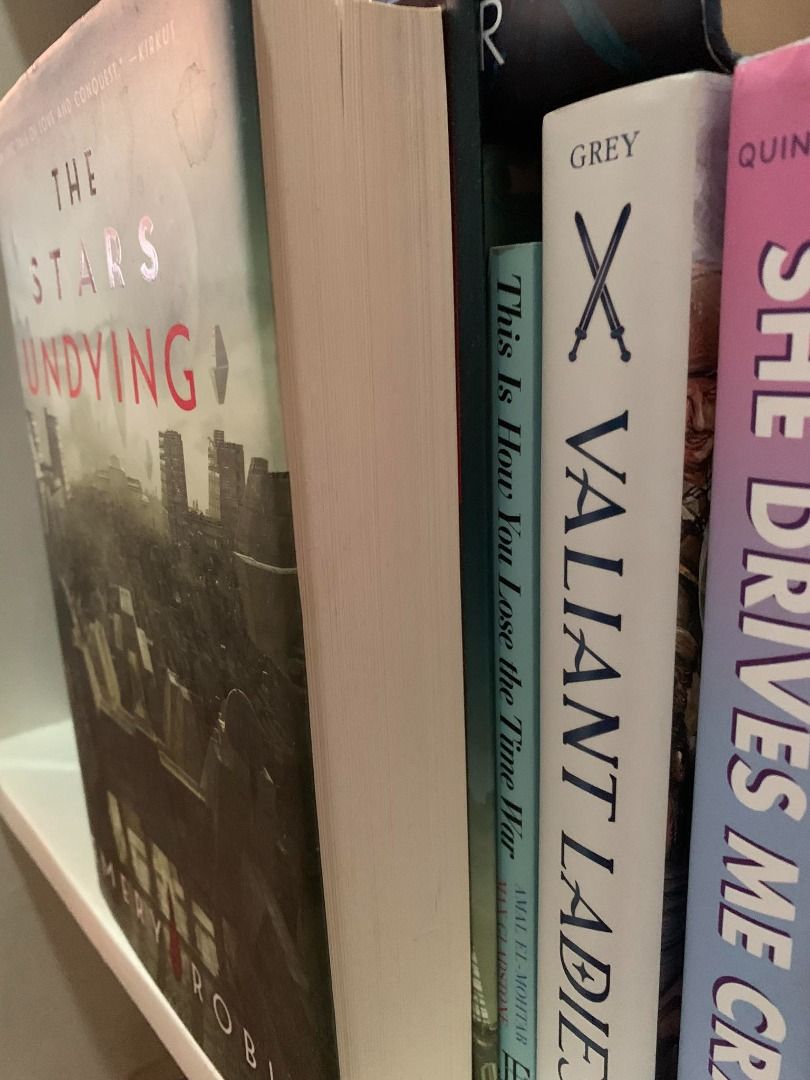 The Stars Undying by Robin Emery, Hobbies & Toys, Books