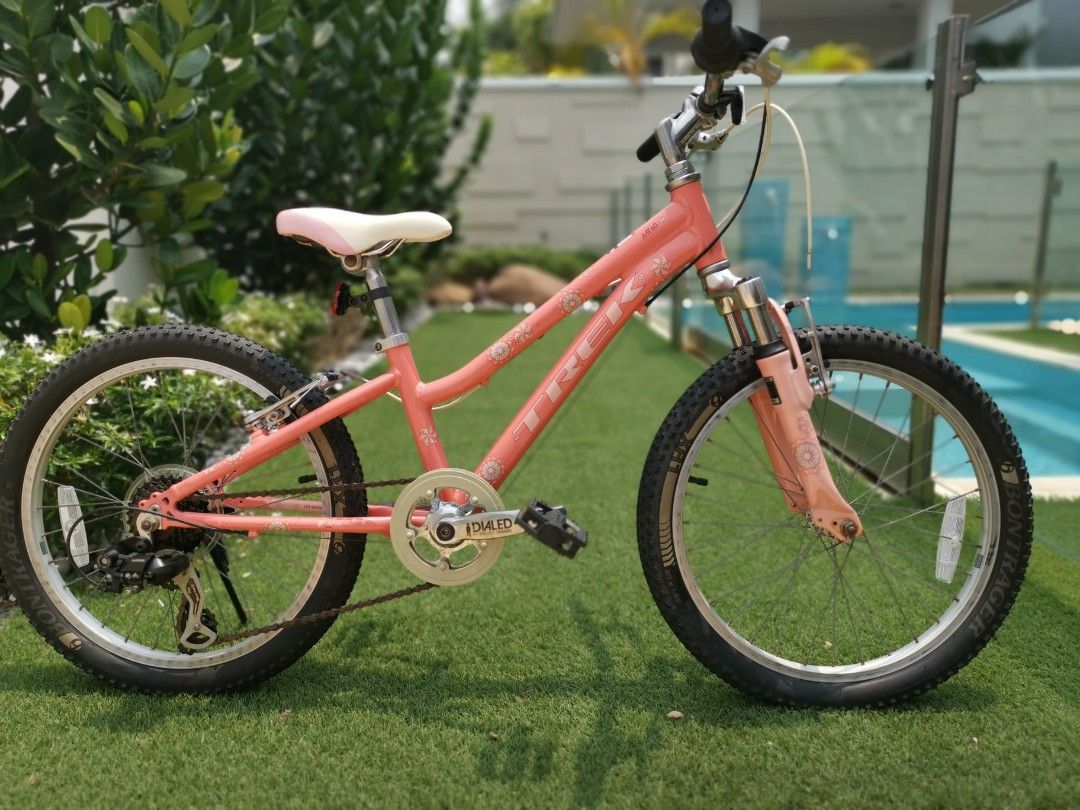 Trek girl sales bike 20