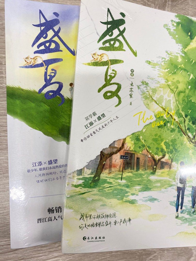 盛夏（某某）, 興趣及遊戲, 書本& 文具, 小說& 故事書- Carousell