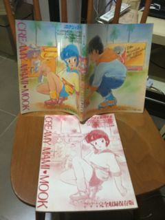 100+ 件抵買