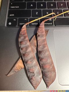 （分類：）位於 。 由 mist_moist_moss 提交（商品編號 1258908107，圖片 1）。簡介： 。