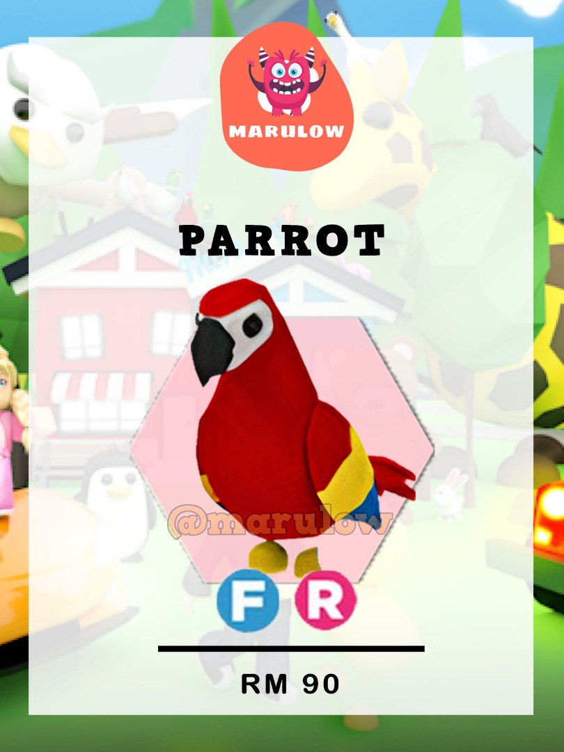Adopt Me - Parrot FR ( Roblox ), Video Gaming, Gaming Accessories, In ...