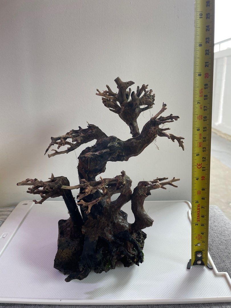bonsai tree for aquariums, Pet Supplies, Homes & Other Pet Accessories