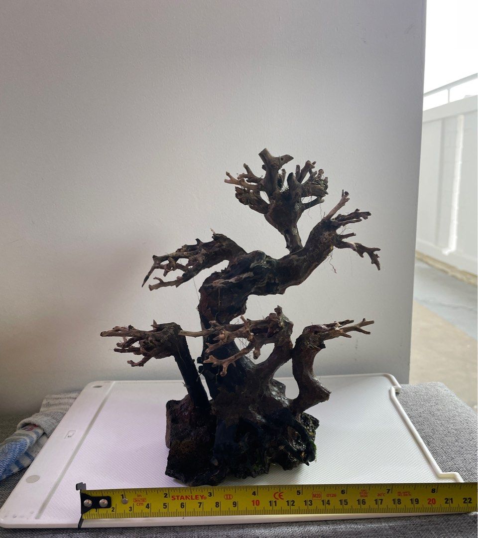 bonsai tree for aquariums, Pet Supplies, Homes & Other Pet Accessories
