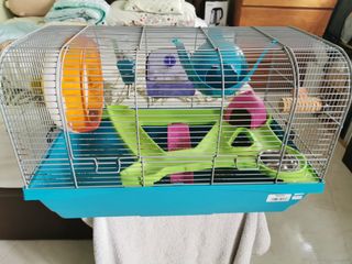 (Category: ) located in . Submitted by raphlo (Listing ID 1258940830, Image 1). Description: .