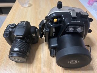 （分類：）位於 。 由 lcpong 提交（商品編號 1258966169，圖片 1）。簡介： 。