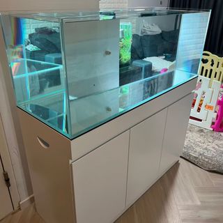 (Category: ) located in . Submitted by SGaquascapes (Listing ID 1259004533, Image 1). Description: .