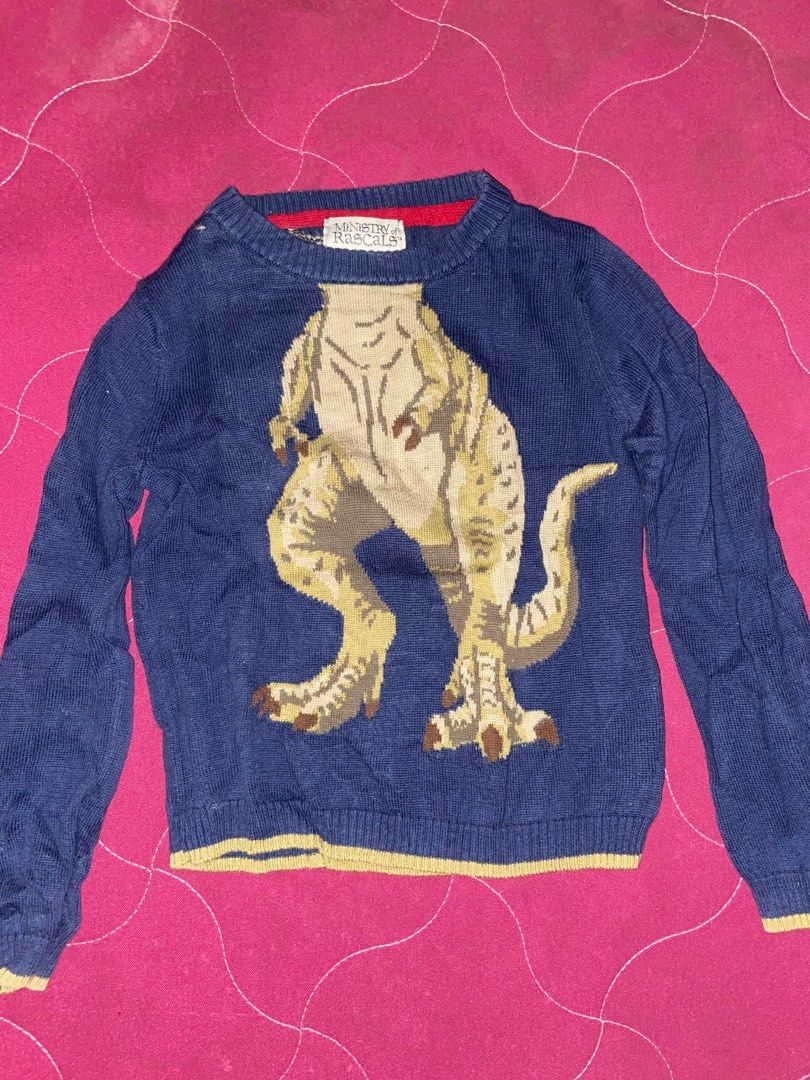 Designer discount dinosaur sweater