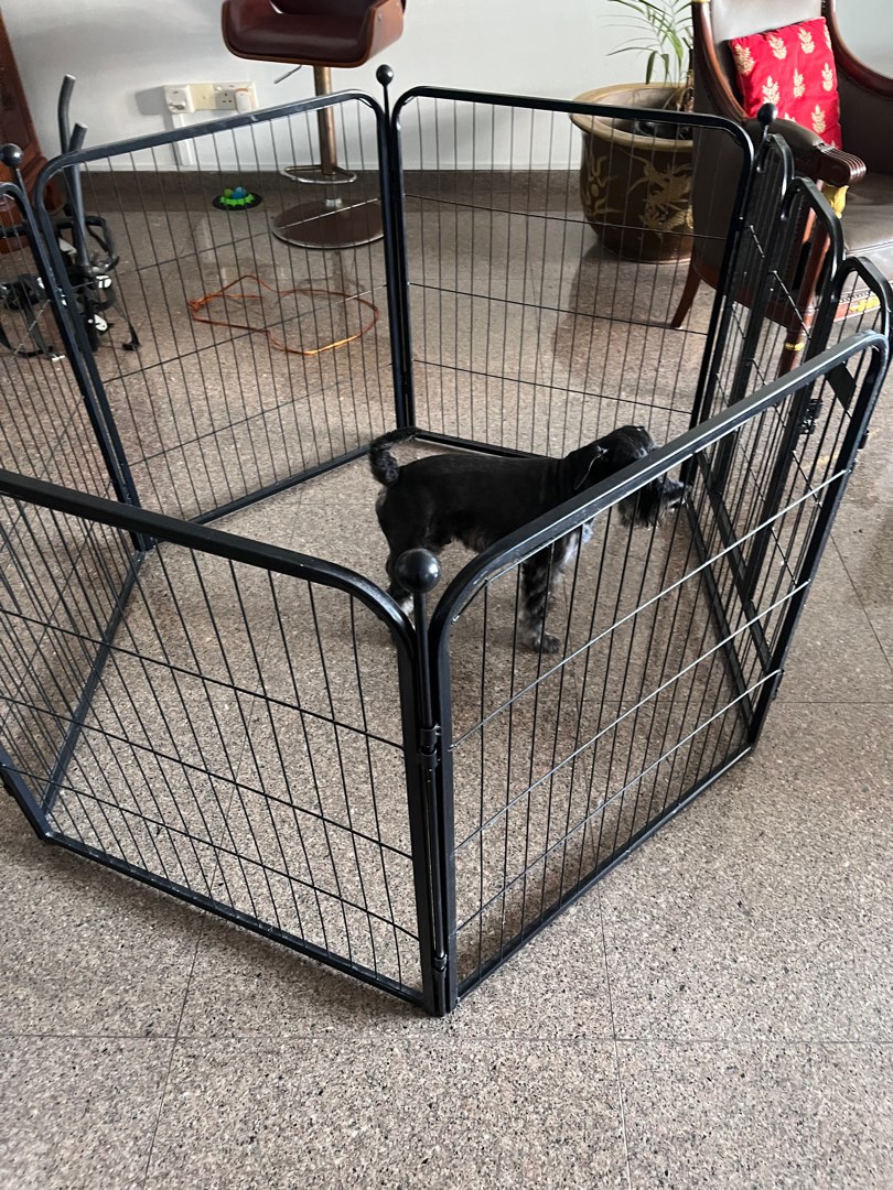 dog Training cage, Pet Supplies, Homes & Other Pet Accessories on Carousell