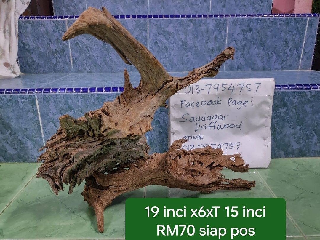 Driftwood kayu aquarium discus, Pet Supplies, Homes & Other Pet